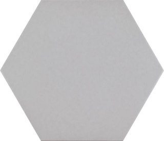 CODICER NEUTRAL SILVER 25X22