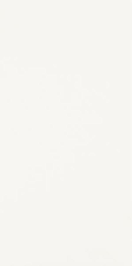 HARMONY BIANCO SCIANA 30X60 HARMONY BIANCO SCIANA 30X60
