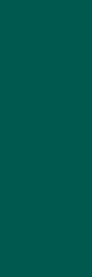 DEEP GREEN 30X90