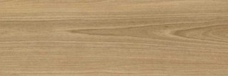 DREAMWOOD GLOSSY RETT. 25x75