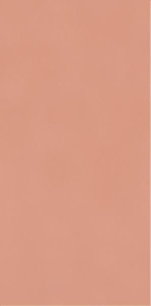 NEVE CREATIVE BLUSH SCIANA POLYSK 9,8X19,8