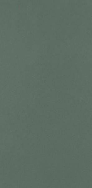 NEVE CREATIVE DARK GREEN SCIANA MAT 9,8X19,8