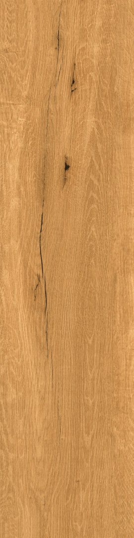 OAK HONEY MATT 30X120