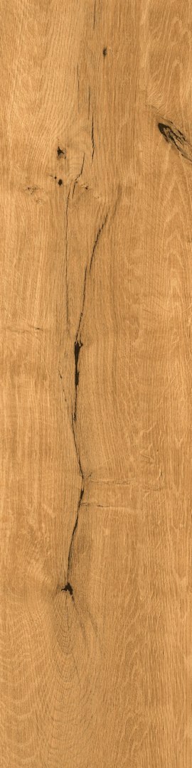 OAK HONEY MATT 30X120