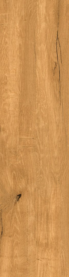 OAK HONEY MATT 30X120