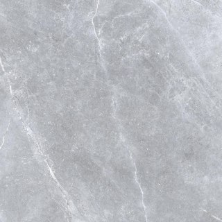 SPACE STONE GREY 60X60