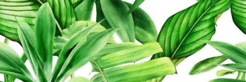 CERAMICA BIANCA GARDEN TROPIC DEKOR A RETT. 25x75