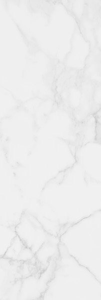 CERAMICA BIANCA ROYAL GREY RETT. 25X75 CERAMICA BIANCA ROYAL GREY RETT. 25X75