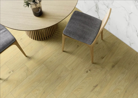 Paradyż DECORWOOD GOLD GRES SZKL. STRUKTURA MAT. 20X60 Paradyż DECORWOOD GOLD GRES SZKL. STRUKTURA MAT. 20X60
